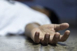 What Are the Stages of Decomposition?