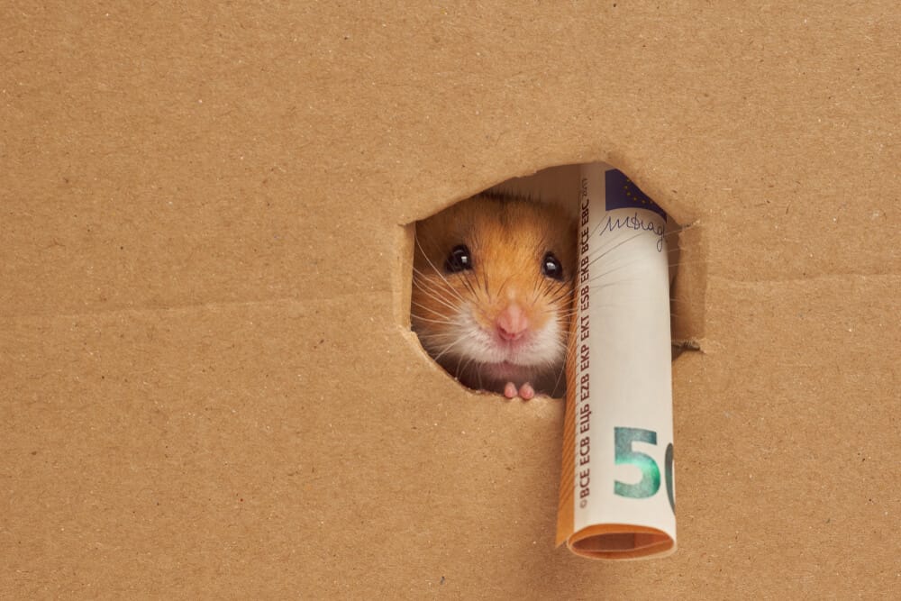 Animal Hoarding: Laws, Facts and Psychology behind It