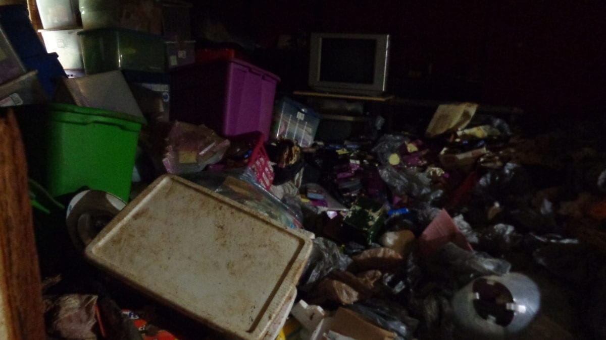 Differences Between Hoarding and Clutter Cleanup