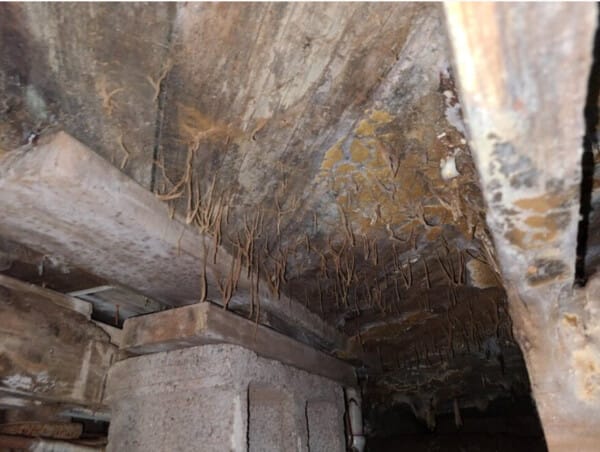 Inside a wooden structure, showing areas where mold may develop under flooring in damp spaces such as basements and attics