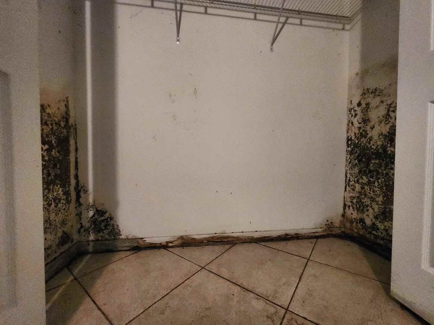 Severe mold growth covering closet walls and baseboards before Spaulding Decon Miami mold remediation
