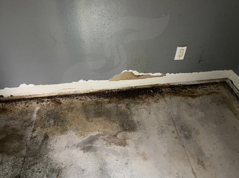 Mold growth along baseboards and exposed subfloor before Spaulding Decon Tampa mold remediation